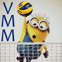 Volley Mercato