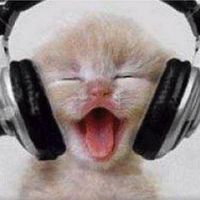 Pat