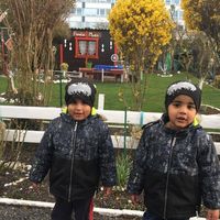 Shaheen