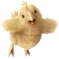 Ty