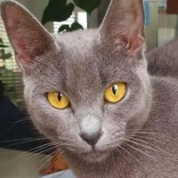 Alan