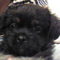 Esther