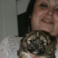 Andrea