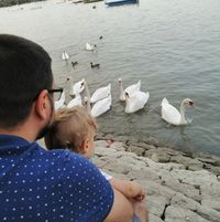 Aleksandar