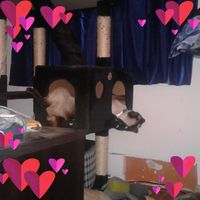 DonandKris