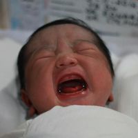 Lilin C