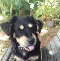Cristina
