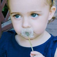 Terri-lynn