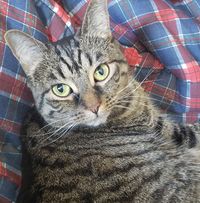 Sam