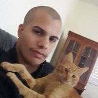 Amichay