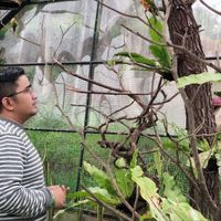 Arief