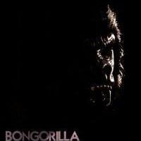 Bongorilla Gorilleboka