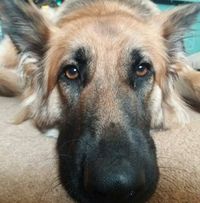 Ben