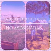 Noly