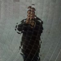Joe