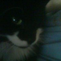 Katie