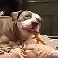 Pete