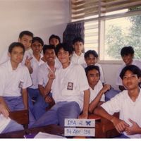 Auk