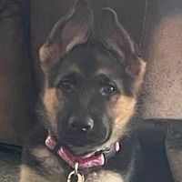 Sandra