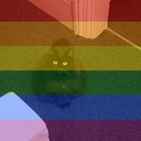 Sam