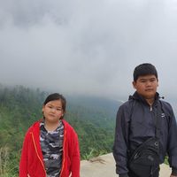 Shierly