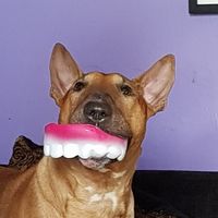 Peter