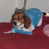 Karen