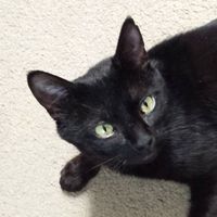 Debora