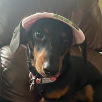 Heidi