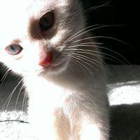 Charlie