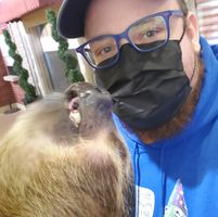 Steve