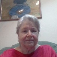 Judi