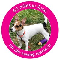 Julie