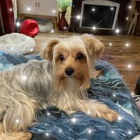 Debbie