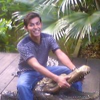 Saiful
