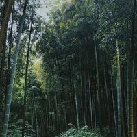 小雨