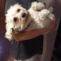 Jacob