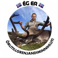 Gylfi