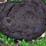 Mud
