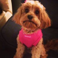 Denise