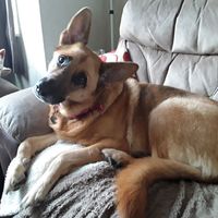 Jo
