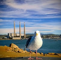 Monica Garner Ramsey