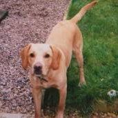 Cerys