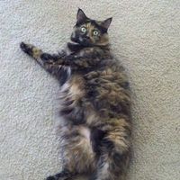 Samantha