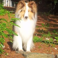 Diana