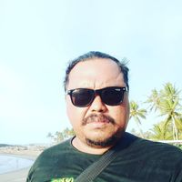 Ardi